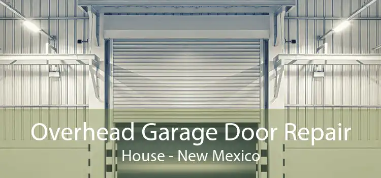 Overhead Garage Door Repair House - New Mexico