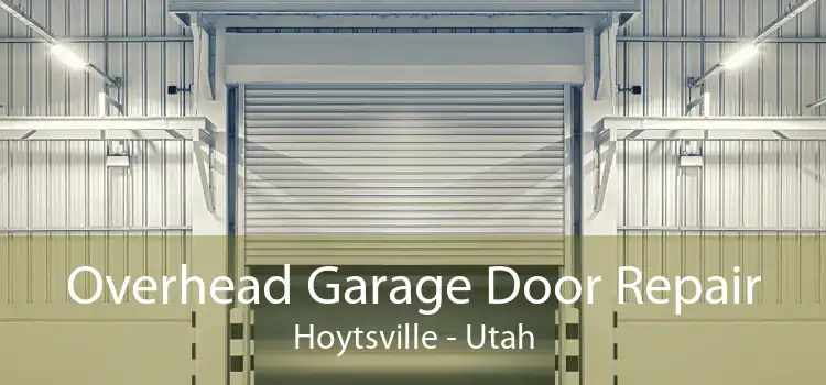 Overhead Garage Door Repair Hoytsville - Utah