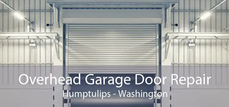 Overhead Garage Door Repair Humptulips - Washington