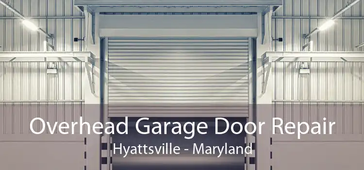 Overhead Garage Door Repair Hyattsville - Maryland