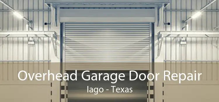 Overhead Garage Door Repair Iago - Texas