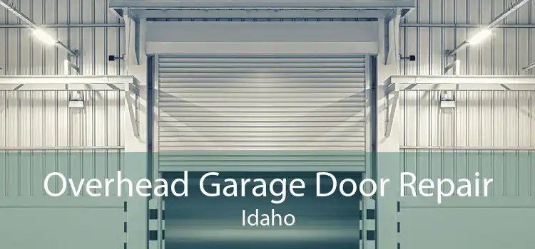 Overhead Garage Door Repair Idaho