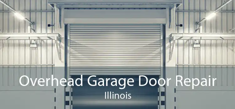 Overhead Garage Door Repair Illinois