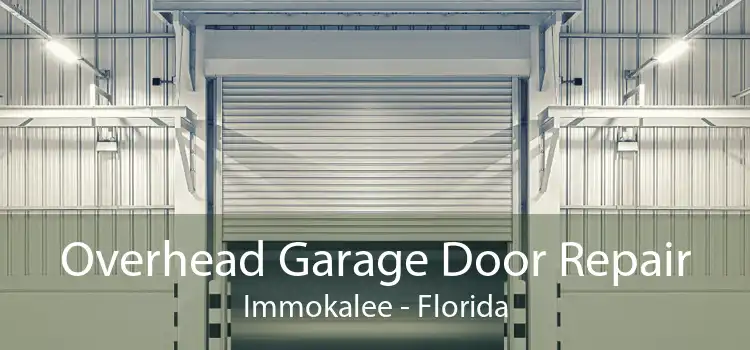 Overhead Garage Door Repair Immokalee - Florida