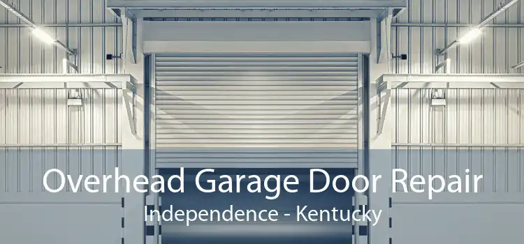 Overhead Garage Door Repair Independence - Kentucky