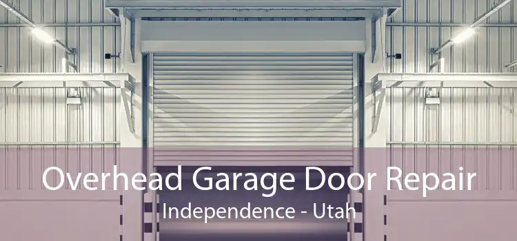Overhead Garage Door Repair Independence - Utah