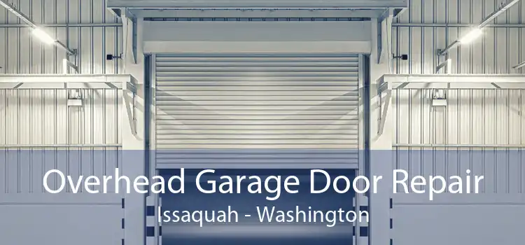 Overhead Garage Door Repair Issaquah - Washington