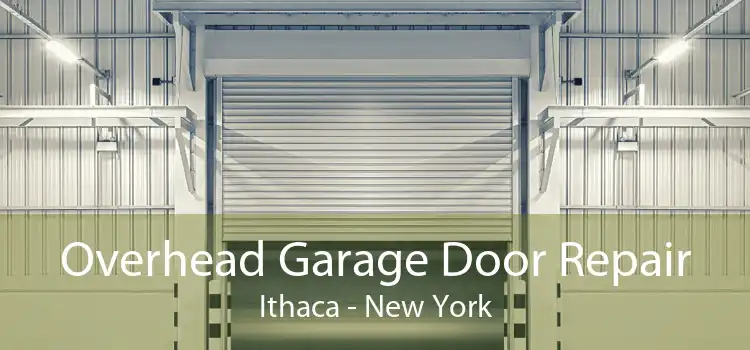 Overhead Garage Door Repair Ithaca - New York