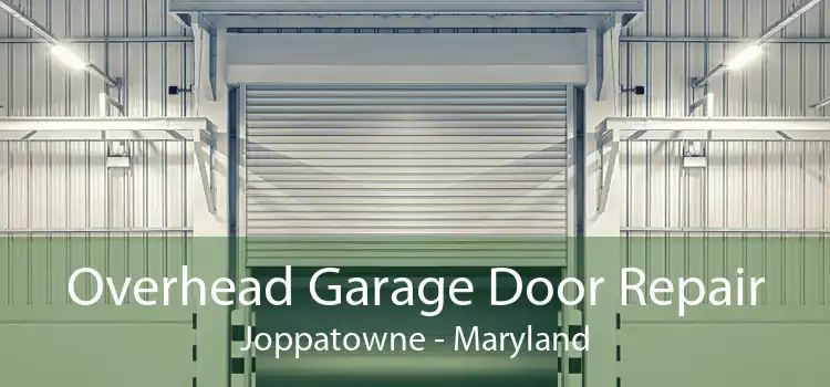 Overhead Garage Door Repair Joppatowne - Maryland