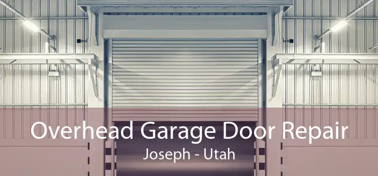Overhead Garage Door Repair Joseph - Utah