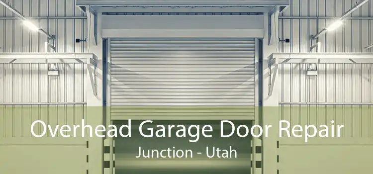 Overhead Garage Door Repair Junction - Utah