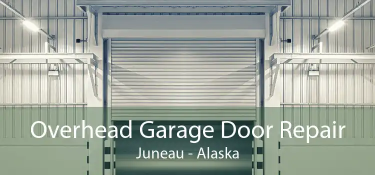 Overhead Garage Door Repair Juneau - Alaska