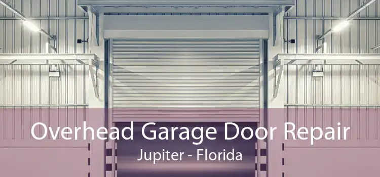 Overhead Garage Door Repair Jupiter - Florida