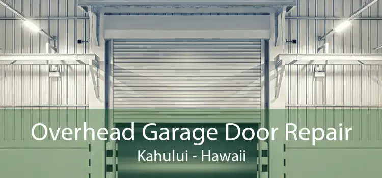 Overhead Garage Door Repair Kahului - Hawaii
