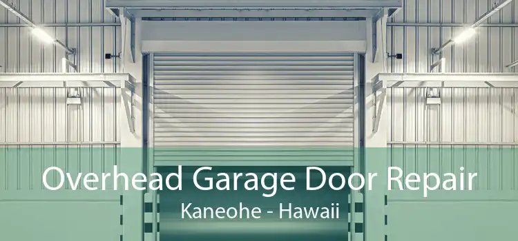 Overhead Garage Door Repair Kaneohe - Hawaii