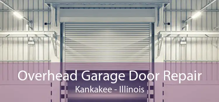 Overhead Garage Door Repair Kankakee - Illinois