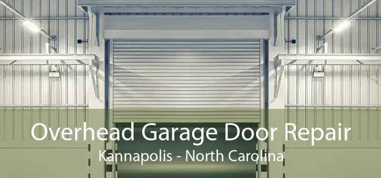 Overhead Garage Door Repair Kannapolis - North Carolina