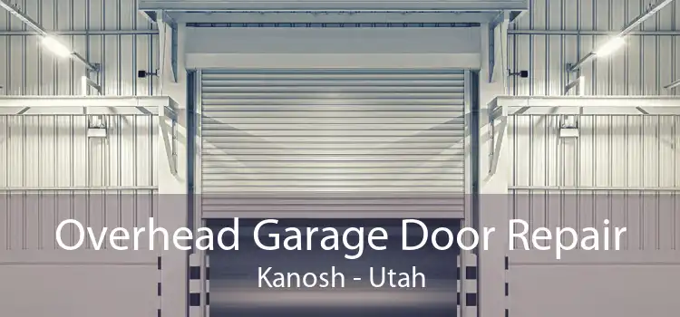 Overhead Garage Door Repair Kanosh - Utah