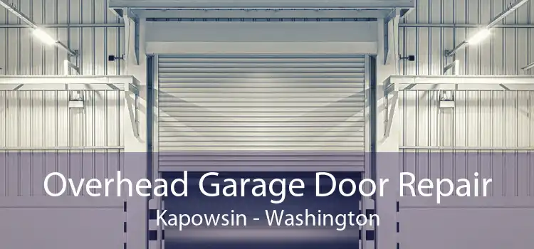 Overhead Garage Door Repair Kapowsin - Washington