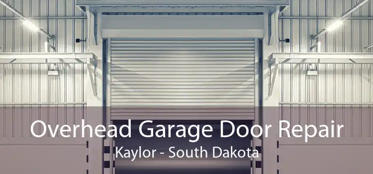 Overhead Garage Door Repair Kaylor - South Dakota