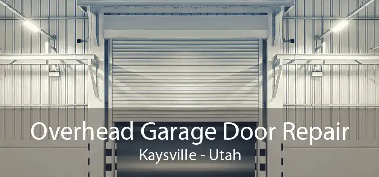 Overhead Garage Door Repair Kaysville - Utah