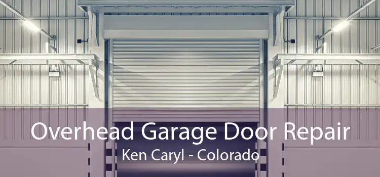 Overhead Garage Door Repair Ken Caryl - Colorado