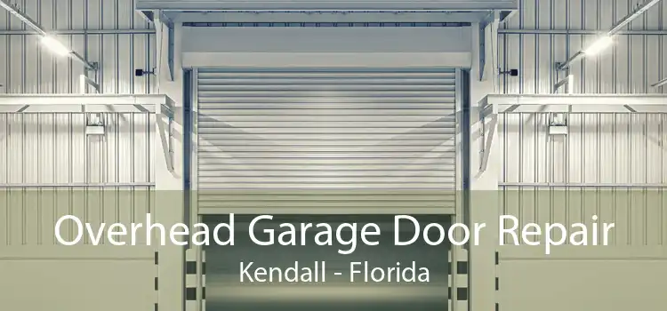 Overhead Garage Door Repair Kendall - Florida