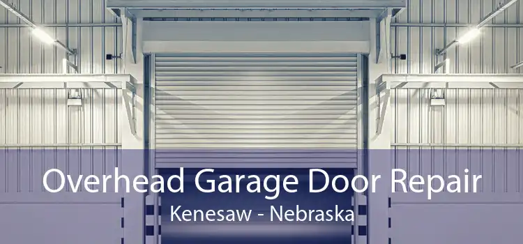 Overhead Garage Door Repair Kenesaw - Nebraska