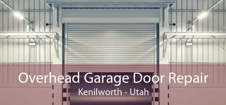 Overhead Garage Door Repair Kenilworth - Utah