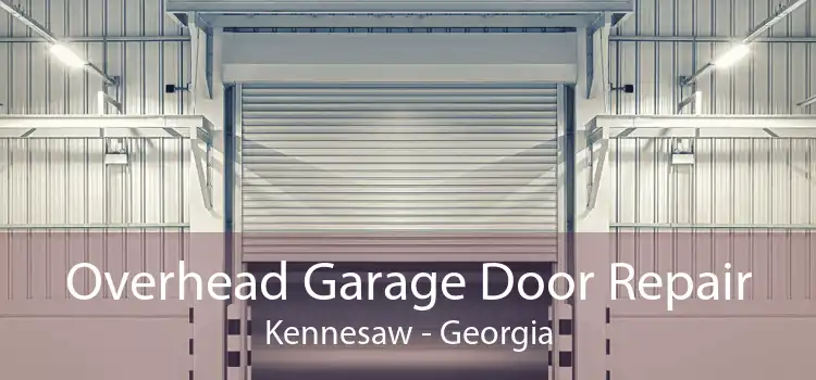 Overhead Garage Door Repair Kennesaw - Georgia