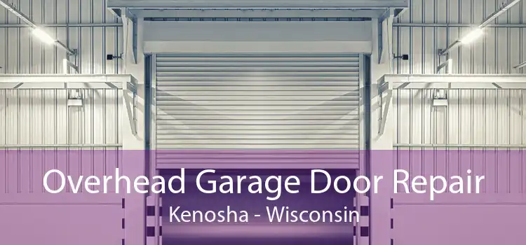 Overhead Garage Door Repair Kenosha - Wisconsin