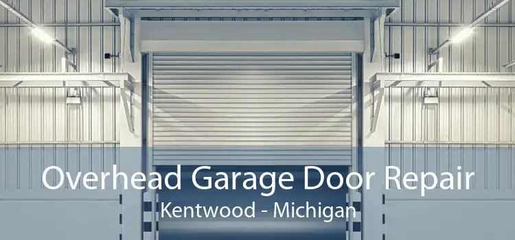 Overhead Garage Door Repair Kentwood - Michigan