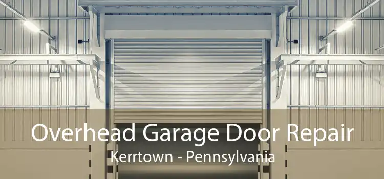 Overhead Garage Door Repair Kerrtown - Pennsylvania