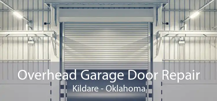 Overhead Garage Door Repair Kildare - Oklahoma