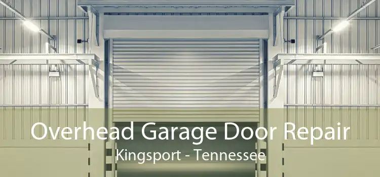 Overhead Garage Door Repair Kingsport - Tennessee