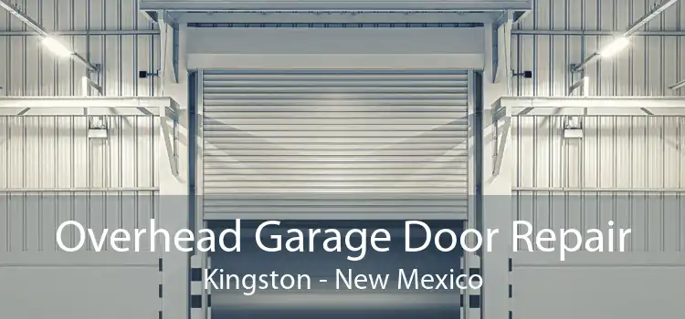 Overhead Garage Door Repair Kingston - New Mexico