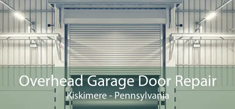 Overhead Garage Door Repair Kiskimere - Pennsylvania