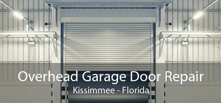 Overhead Garage Door Repair Kissimmee - Florida