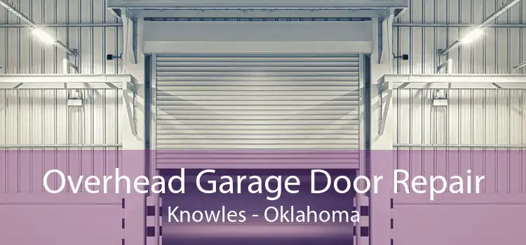 Overhead Garage Door Repair Knowles - Oklahoma