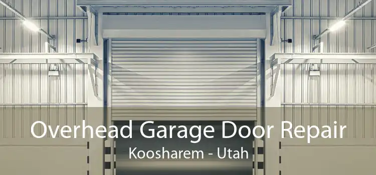 Overhead Garage Door Repair Koosharem - Utah