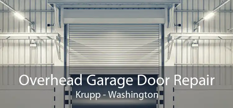 Overhead Garage Door Repair Krupp - Washington
