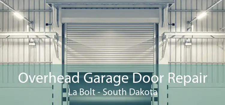 Overhead Garage Door Repair La Bolt - South Dakota