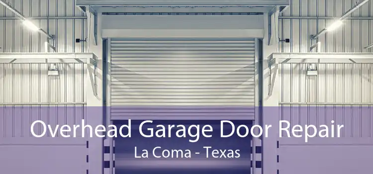 Overhead Garage Door Repair La Coma - Texas