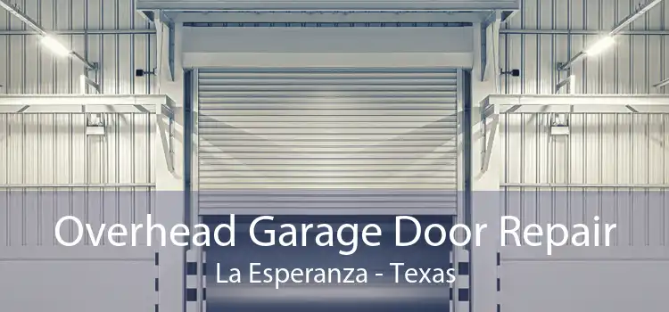 Overhead Garage Door Repair La Esperanza - Texas