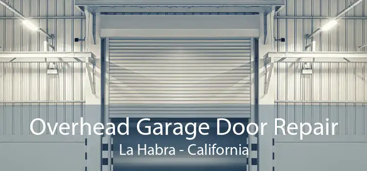 Overhead Garage Door Repair La Habra - California