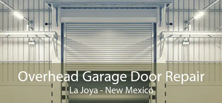 Overhead Garage Door Repair La Joya - New Mexico
