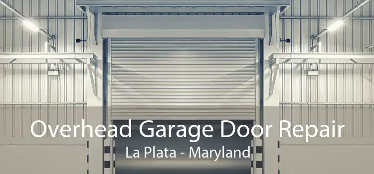 Overhead Garage Door Repair La Plata - Maryland
