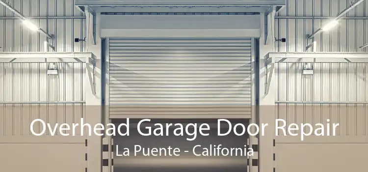 Overhead Garage Door Repair La Puente - California