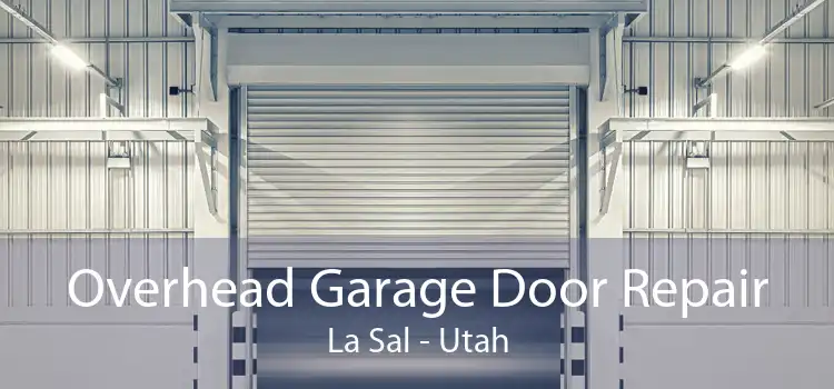 Overhead Garage Door Repair La Sal - Utah