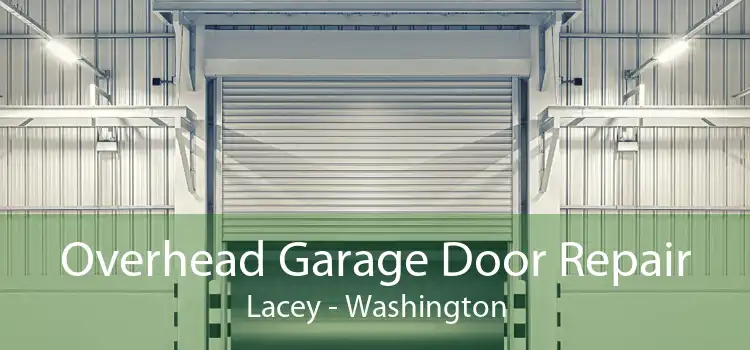 Overhead Garage Door Repair Lacey - Washington